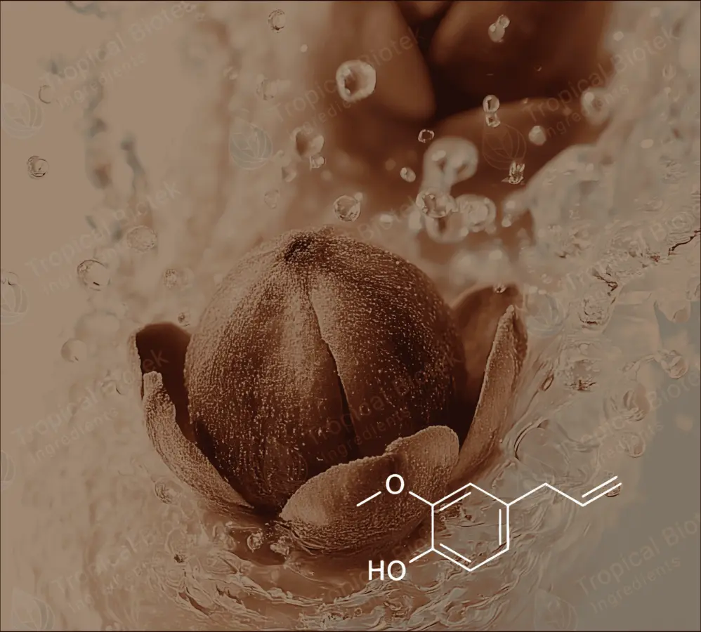 CL-502 - Eugenol USP Natural 99.5% Van Aroma - Tropical Biotek Ingredients